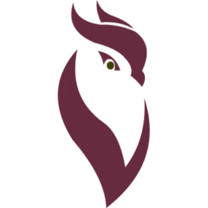 Logo Instinct Digital