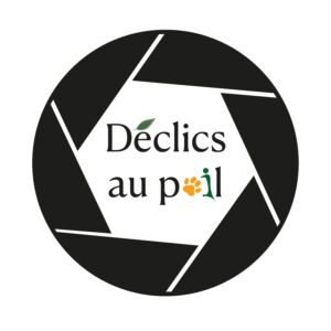 Déclics au poil