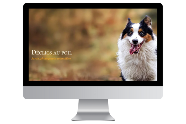 déclics au poil