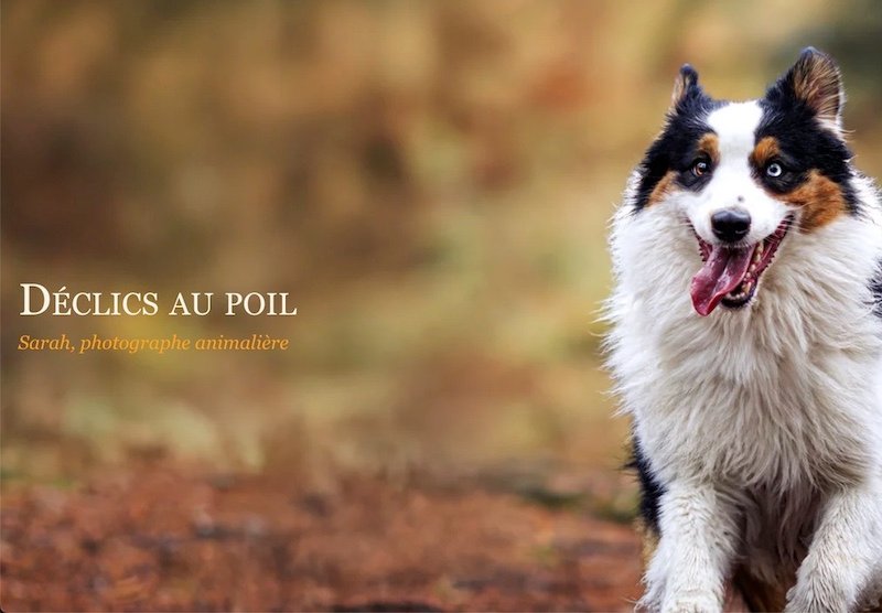header declicsaupoil