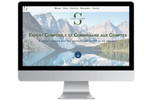 smtl conseil smtl conseil